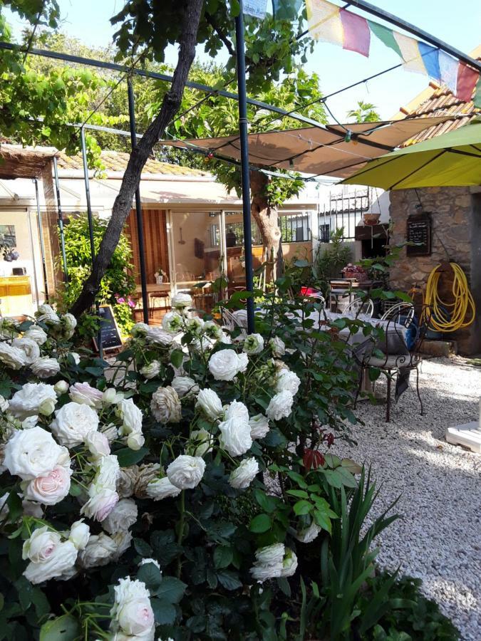 Hotel Les Terres Basses Fabrezan Zewnętrze zdjęcie